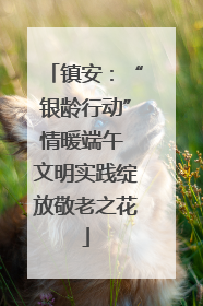 镇安：“银龄行动”情暖端午 文明实践绽放敬老之花